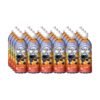 Pokka Blueberry Tea Bottle 500ml